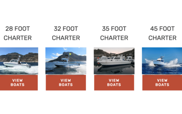 fishing charter boats hout bay cape town