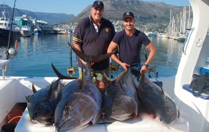 Deep Sea Fishing Yellowfin Tuna Fishing Season Hout Bay Cape Town Fishing Charter 1