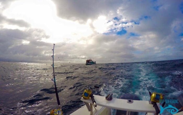 trolling fishing cape town deep sea fishing charters hout bay