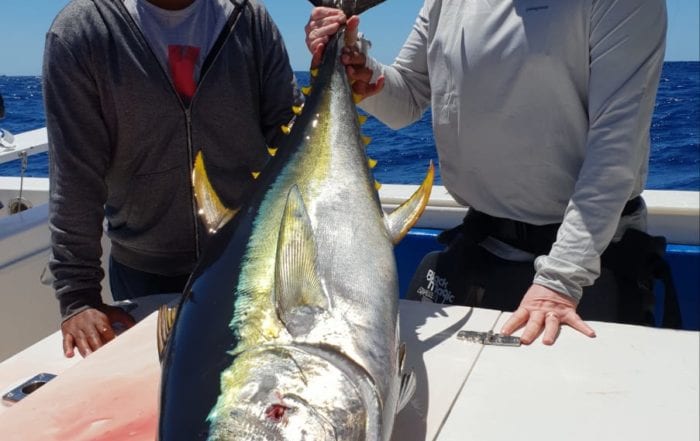 deep sea fishing cape town south africa -