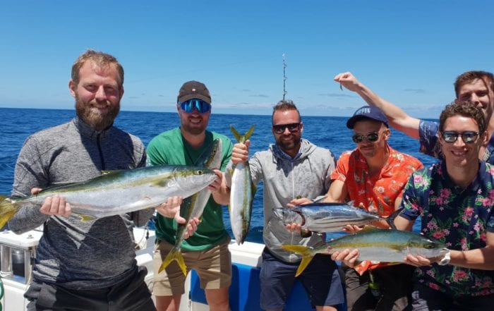 Yellowtail Fishing Charters Cape Town - Cape Point
