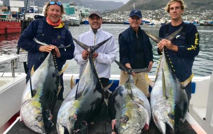 best tuna fishing charters cape town 1
