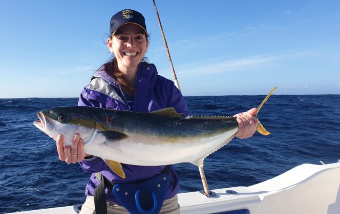yellowtail fishing cape town - deep sea fishing 1
