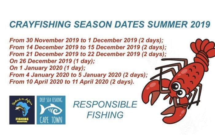 Crayfish Season 2019 to 2020 Cape Town Western Cape