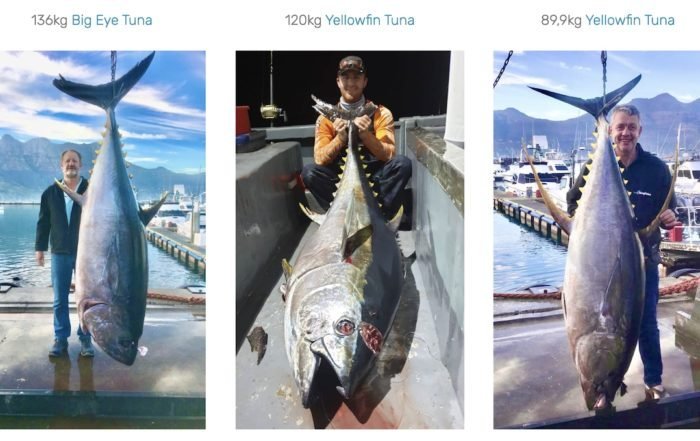 cape town fishing charters deep sea fishing hout bay