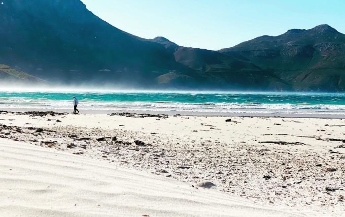 deep sea fishing cape town fishing charters
