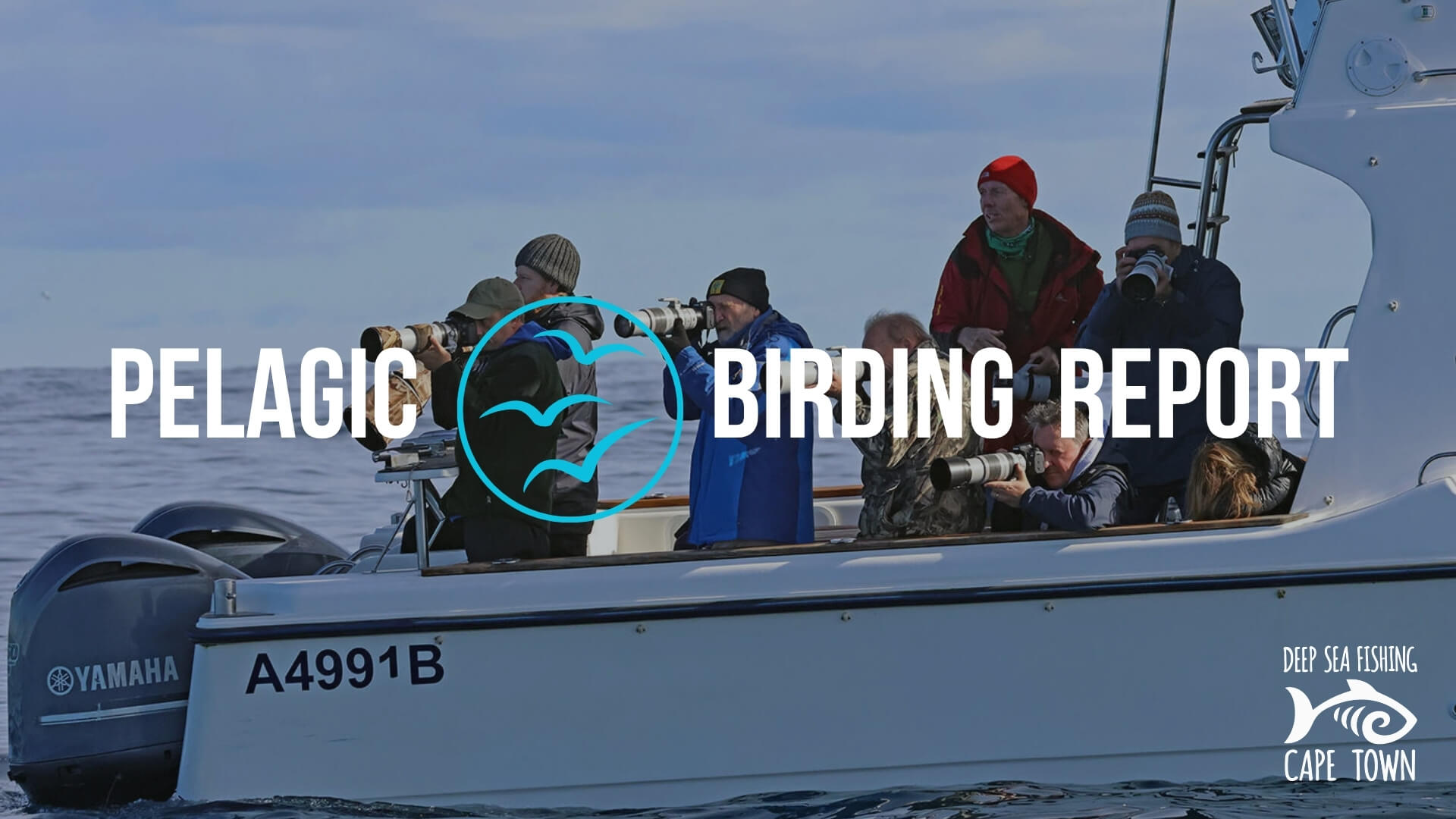 Pelagic Birding Charters Cape Town - Birding Report