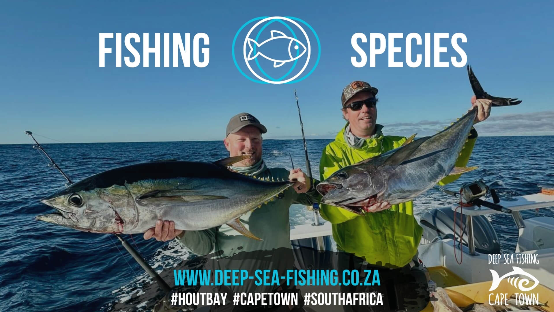 Deep Sea Fishing Charters Cape Town Fishing Tours Hout Bay