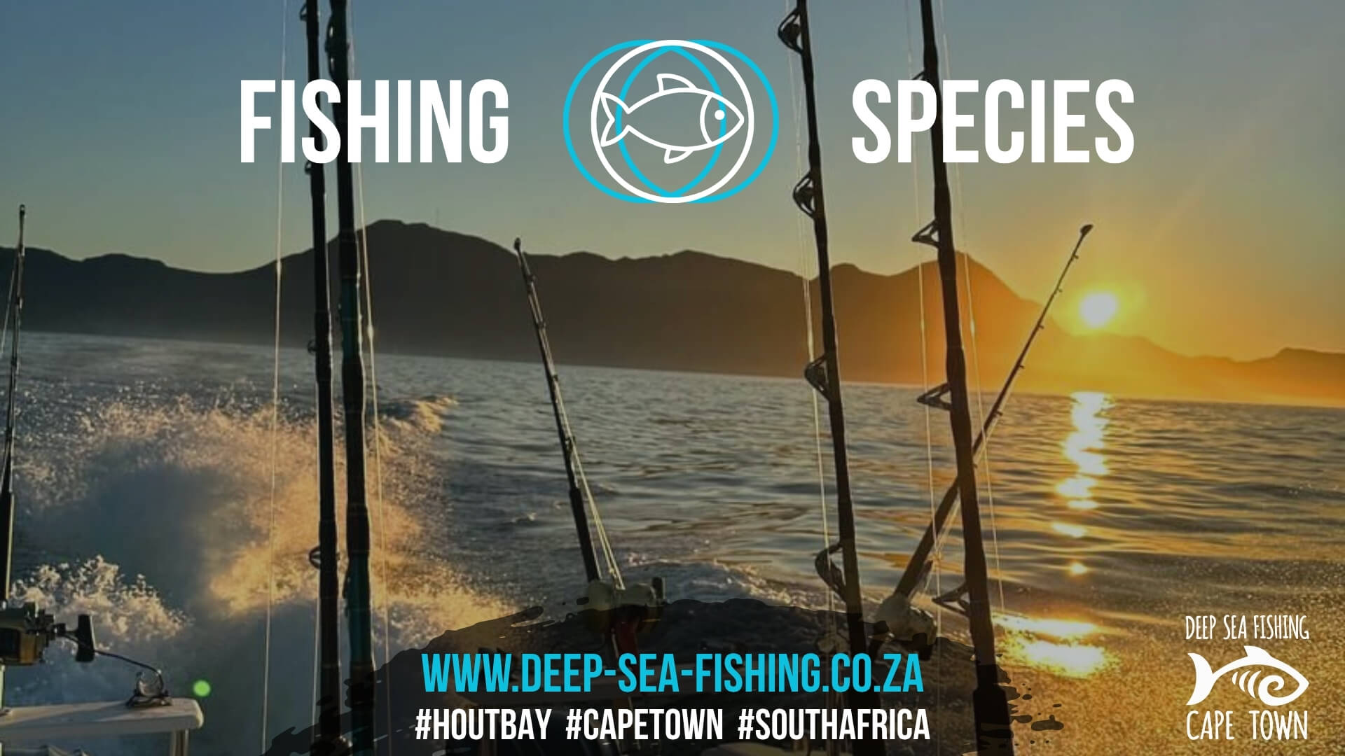 Deep Sea Fishing Charters Cape Town Fishing Tours Hout Bay