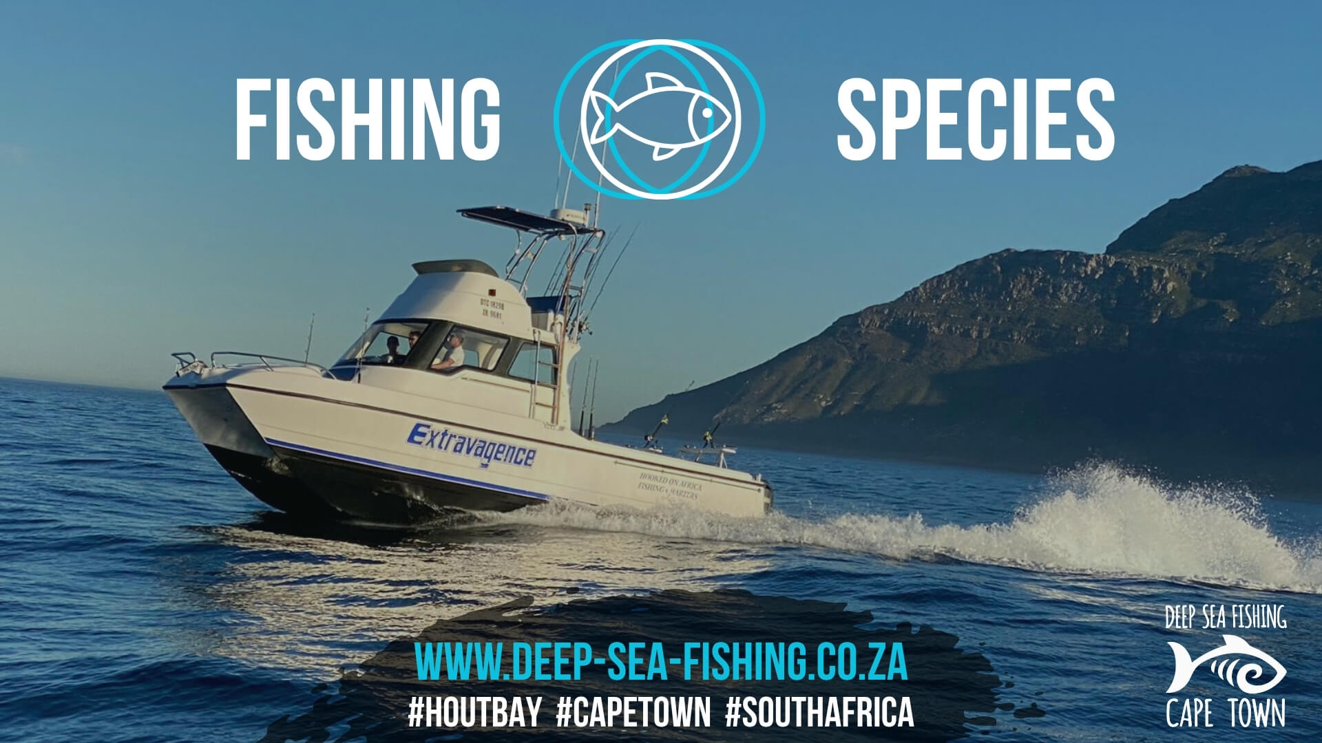 Deep Sea Fishing Charters Cape Town Fishing Tours Hout Bay